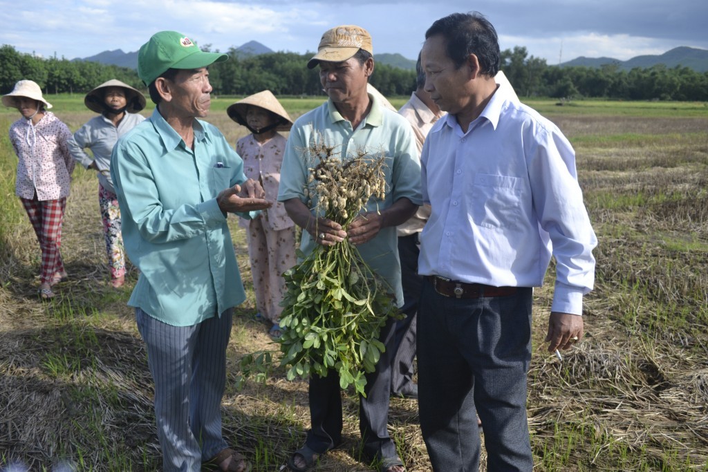 Mr. Ngo Thanh Tranh discussing with experts on peanut growing from Hue University of Agriculture and Forestry